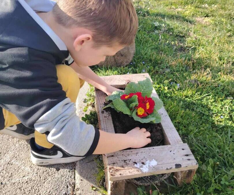 Učenici razredne nastave u PŠ Ciglena uljepšali okoliš škole