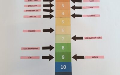 Radionica „pH vrijednosti kućnih kemikalija“