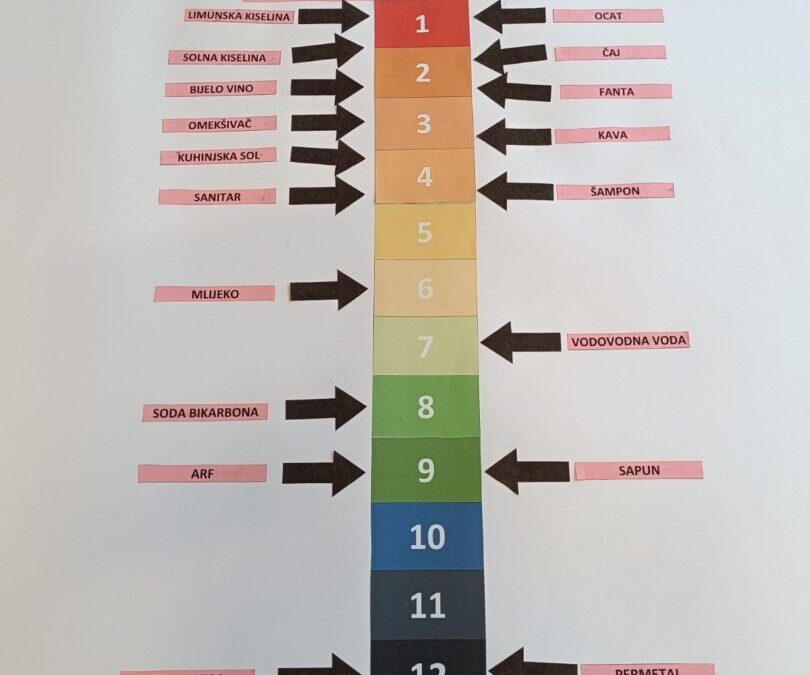 Radionica „pH vrijednosti kućnih kemikalija“