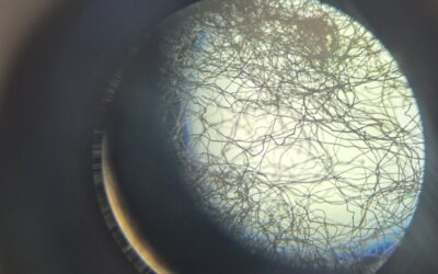 STEM radionice