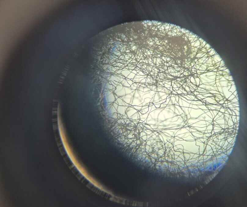 STEM radionice
