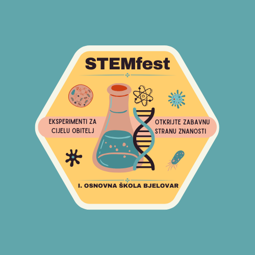 STEMfest