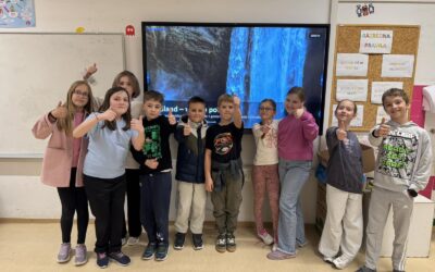 Island – voda u pokretu