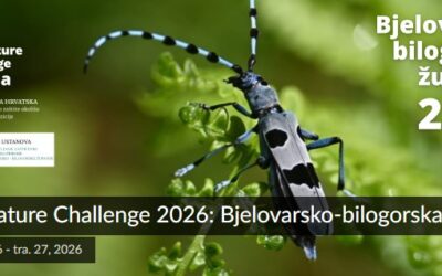 Učenici 6. B razreda sudjelovali u globalnom projektu City Nature Challenge 2026