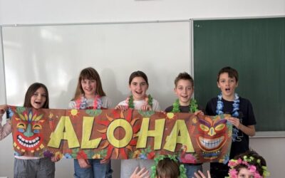 Matematika na Havajima